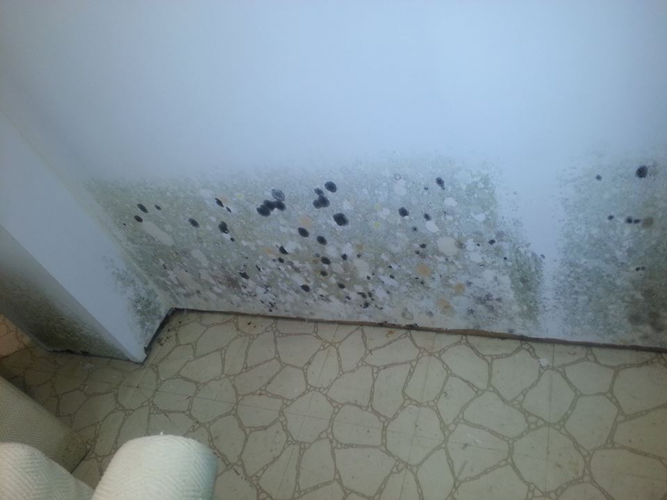 Water Damage Remediation