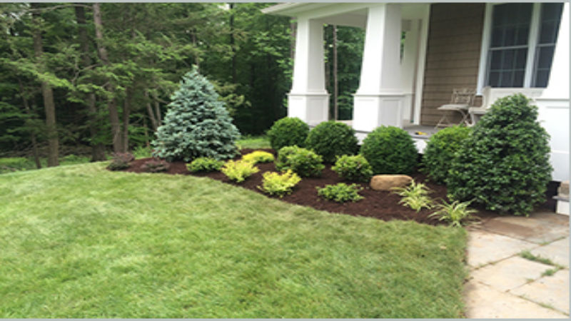 Benefits Of Hiring A Company Who Specializes In Landscaping Services In New Canaan CT