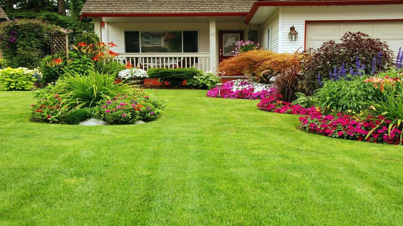 Let the Experts Handle Stump Grinding in Fishers, IN