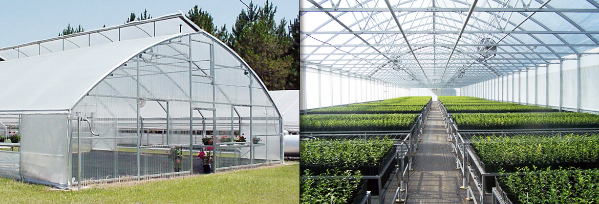 Commercial Greenhouse Structures to Meet Every Need