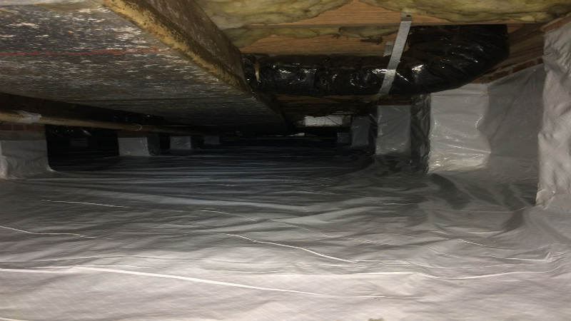 Don’t Let Your Crawl Space Become Party Central for Insects and Mold