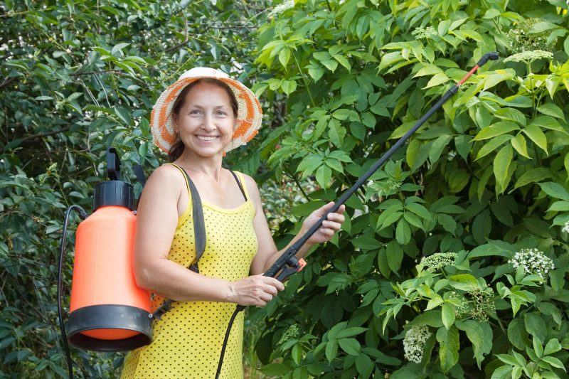 Lawn Spraying in Overland Park, MO: Just One of the Effective Methods